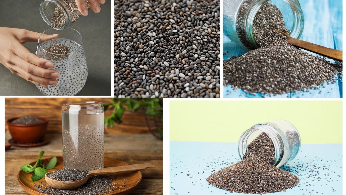 Which Country Is the Largest Chia Seed Producer in the World?