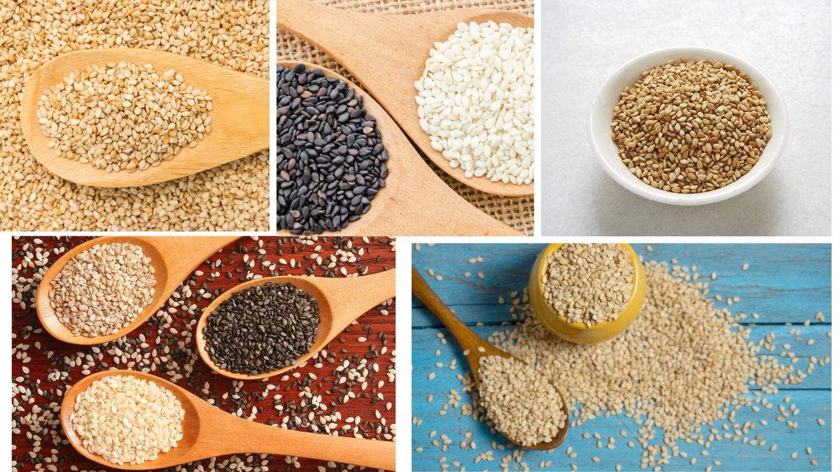Which Country Is the Largest Sesame Seed Producer in the World?