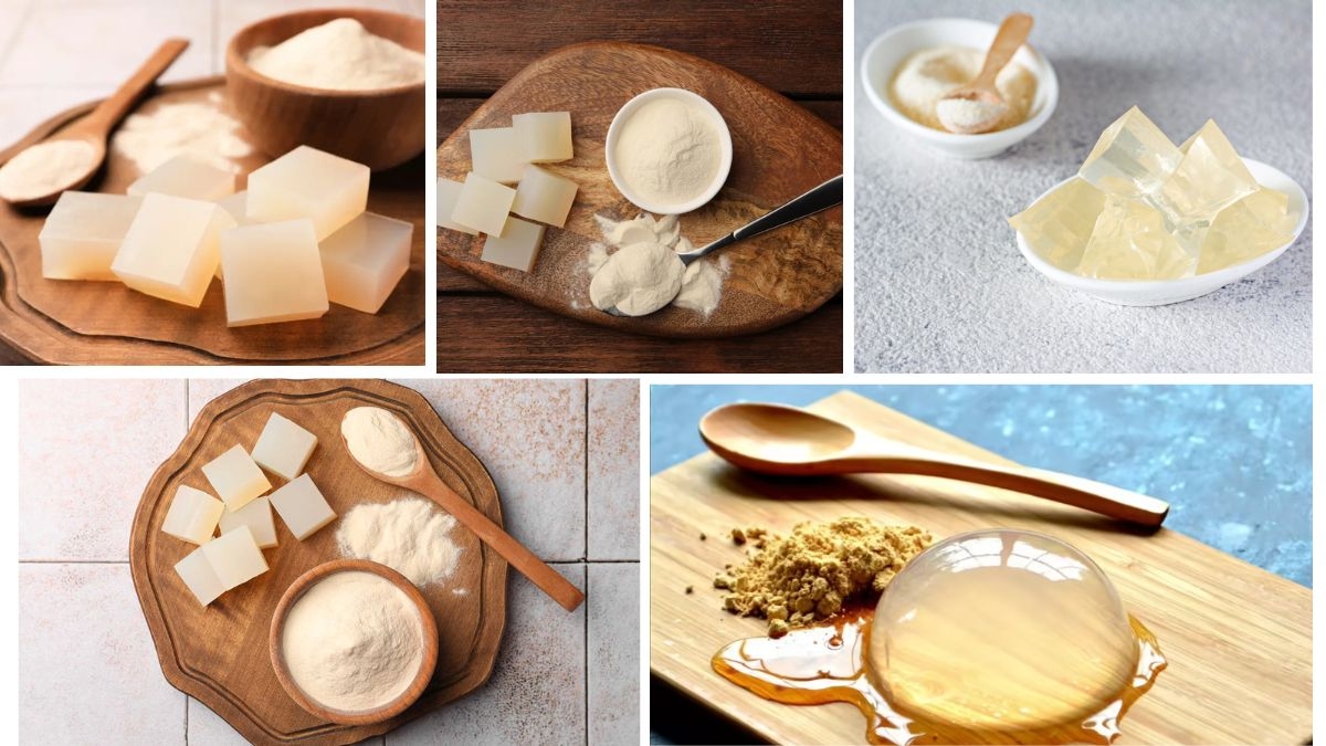 Which Country Is the Largest Agar Producer in the World?