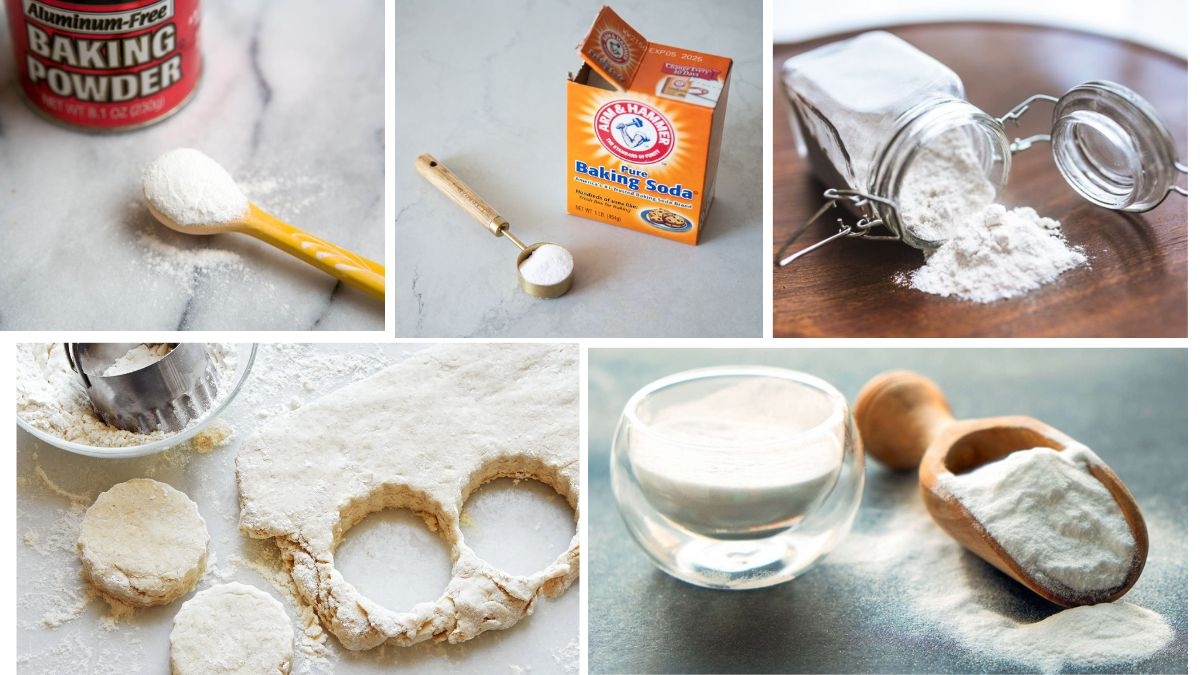 Which Country Is the Largest Baking Powder Producer in the World?