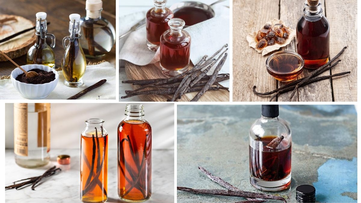 Which Country Is the Largest Vanilla Extract Producer in the World?