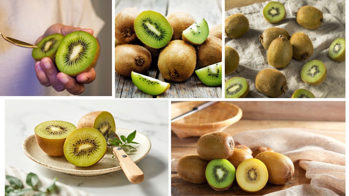Who Exports the Most Kiwis? Global Leaders Ranked