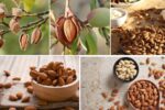 Countries That Dominate the Almond Industry