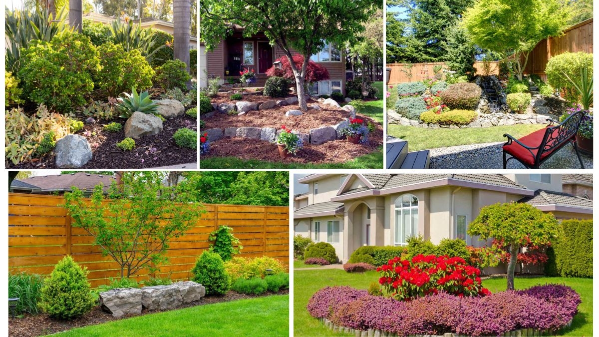 Budget-Friendly Around Tree Landscaping Ideas
