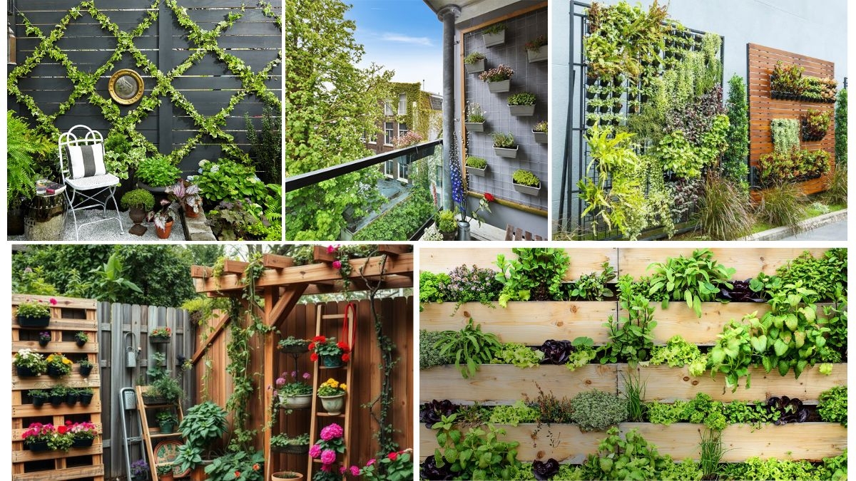 Vertical Garden Setup for Small Spaces: A Complete Guide