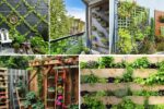 Vertical Garden Setup for Small Spaces: A Complete Guide