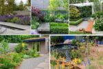 Garden Layout Tips Using Low-Maintenance Plants