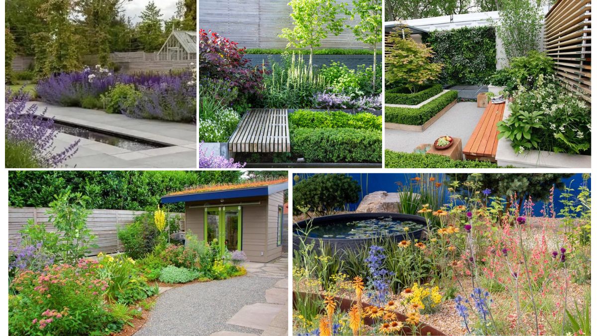 Garden Layout Tips Using Low-Maintenance Plants