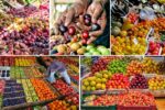 India vs Global: A Fruit Production Comparison
