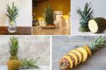 Pineapple Growth Timeline: What You Should Know