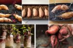 How to Grow Sweet Potatoes from Slips at Home