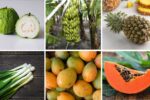 6 Tropical Fruits You Can Grow on Your Balcony