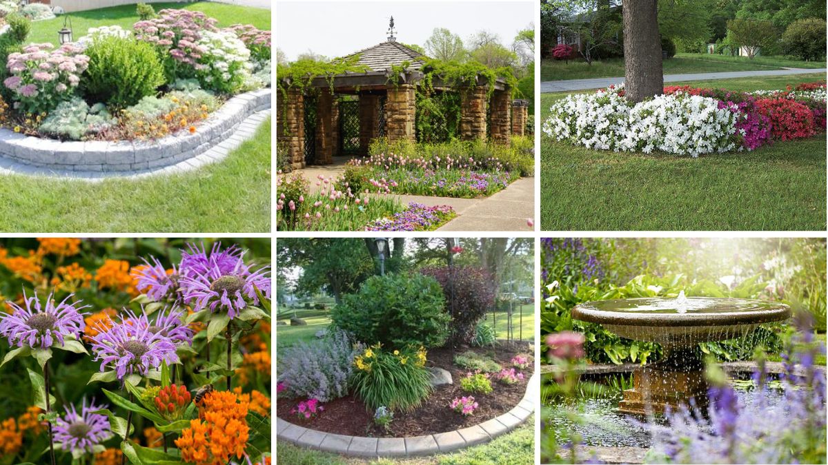 6 Unique Oval Flower Bed Ideas to Upgrade Your Garden Design