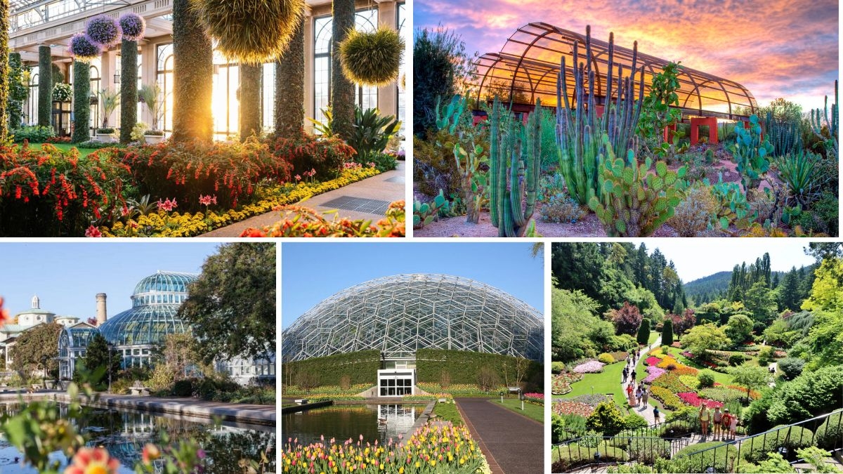 5 Most Beautiful Gardens in the USA You Have to Visit