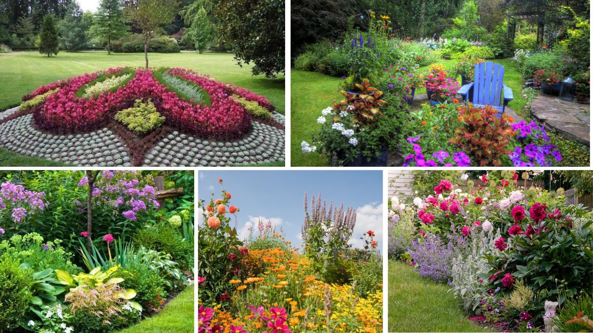 5 Creative Mixed Seasonal Flower Beds for Year-Round Beauty
