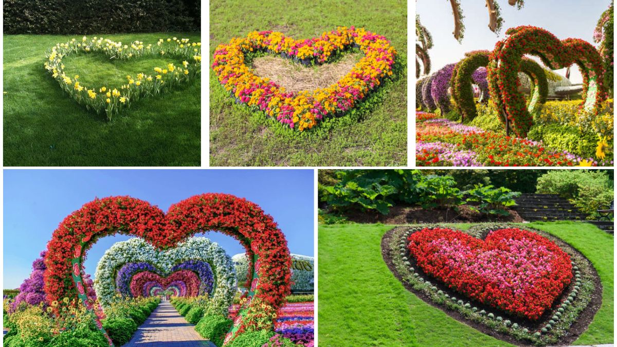 5 Beautiful Heart-Shaped Flower Beds for a Romantic Setting
