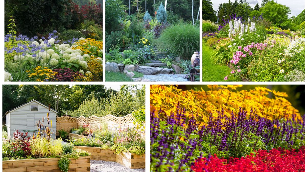 5 Beautiful Minimal-Care Flower Beds for Busy Gardeners