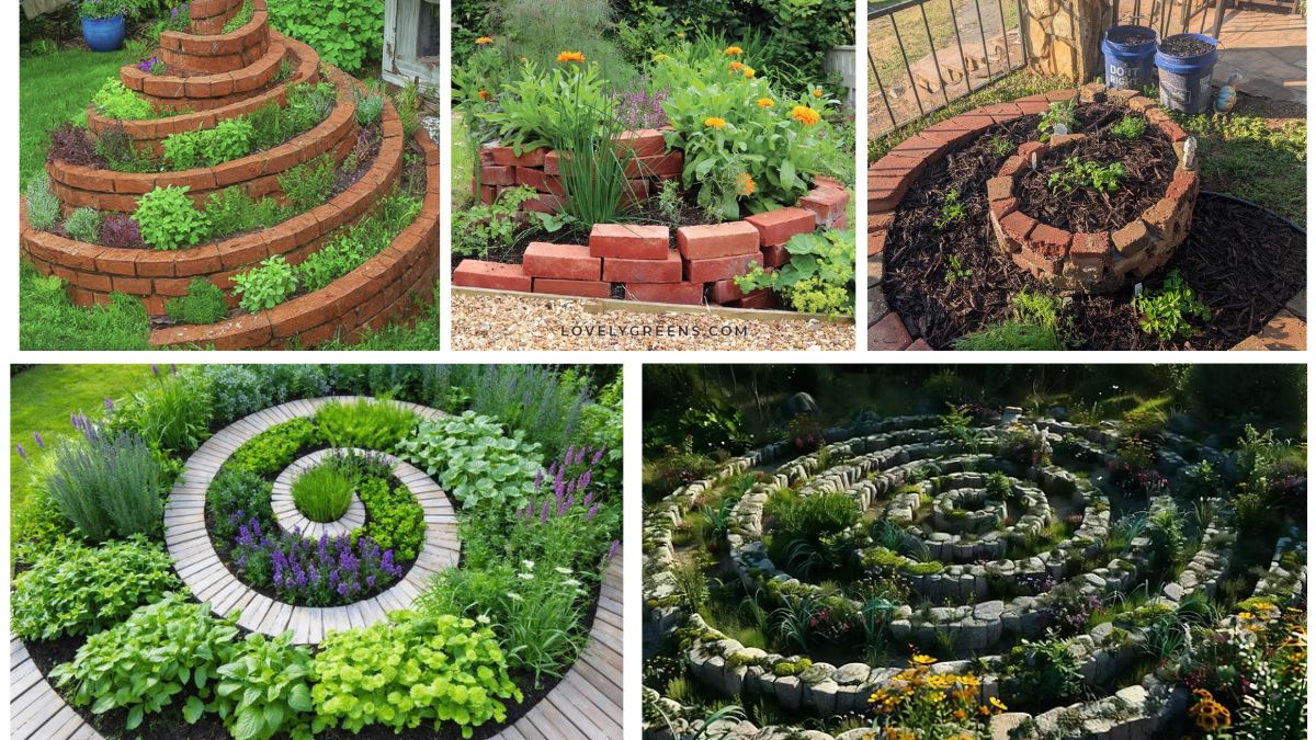 5 Unique Spiral Herb and Flower Beds for Stylish Functionality