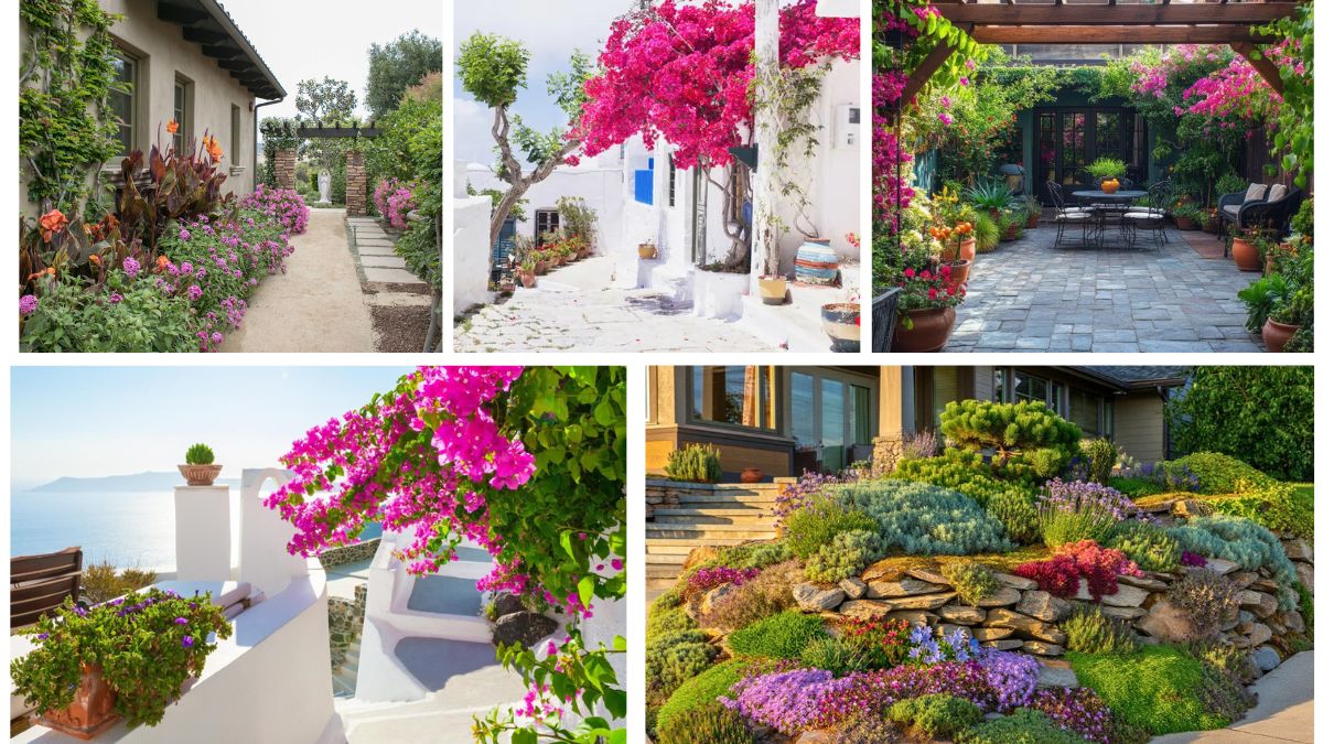 5 Beautiful Mediterranean Courtyard Flower Bed Designs
