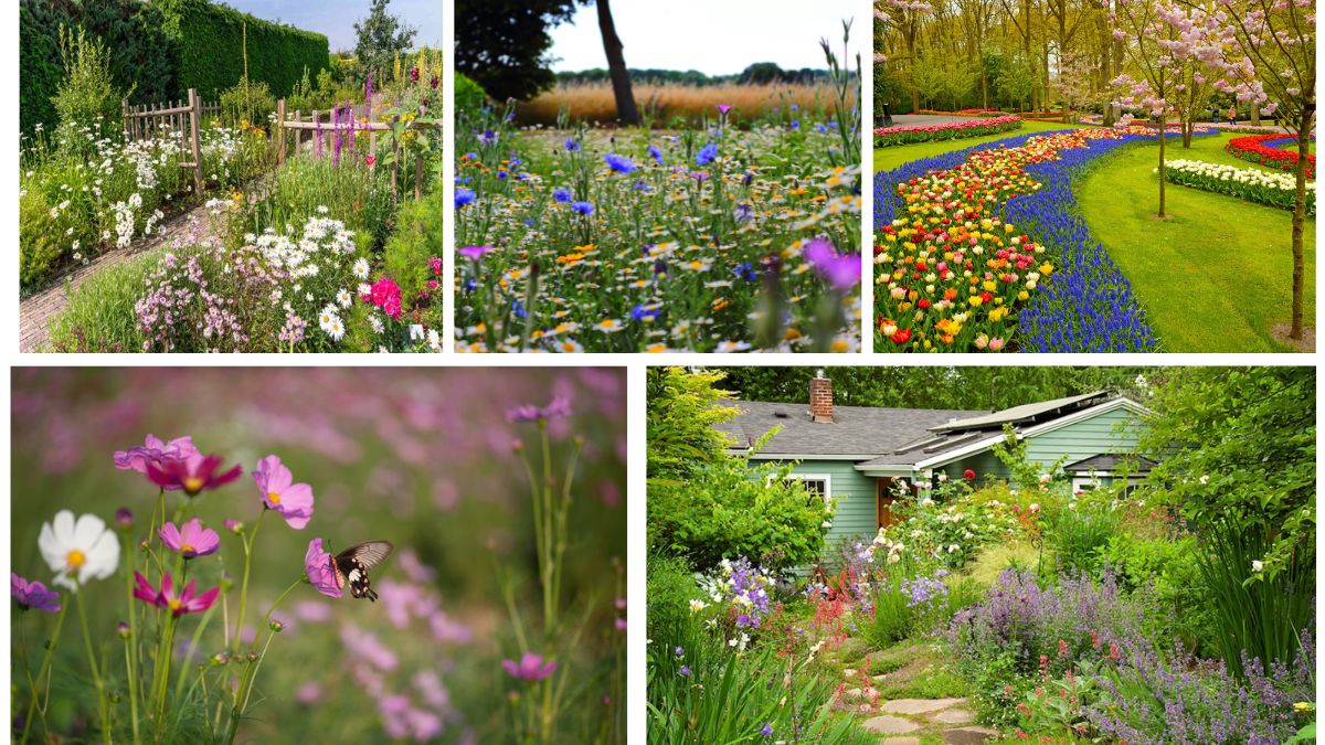 5 Gorgeous Meadow-Inspired Flower Beds for Natural Beauty
