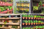 5 Plants Perfect for Vertical Pallet Gardens
