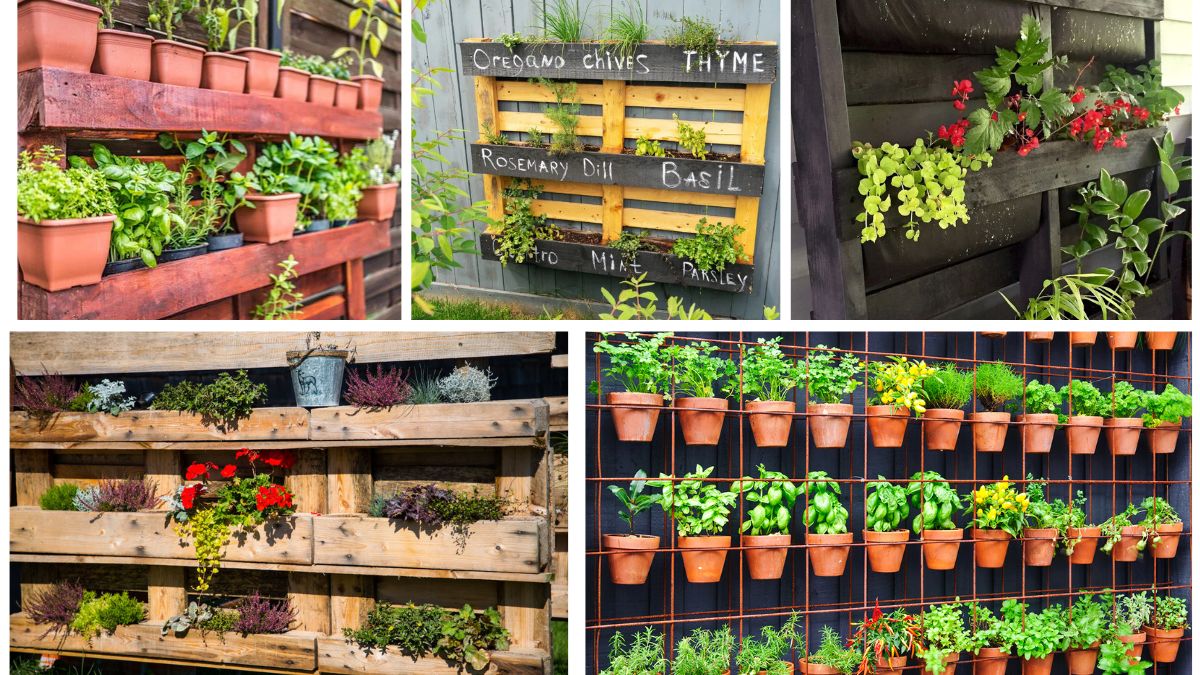 5 Plants Perfect for Vertical Pallet Gardens