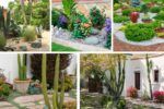5 Sculptural Plants That Add Desert Charm to Gardens