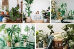 5 Pet-Friendly Indoor Plants Perfect for Families