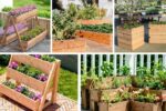 DIY Planter Box Guide for Home Gardeners