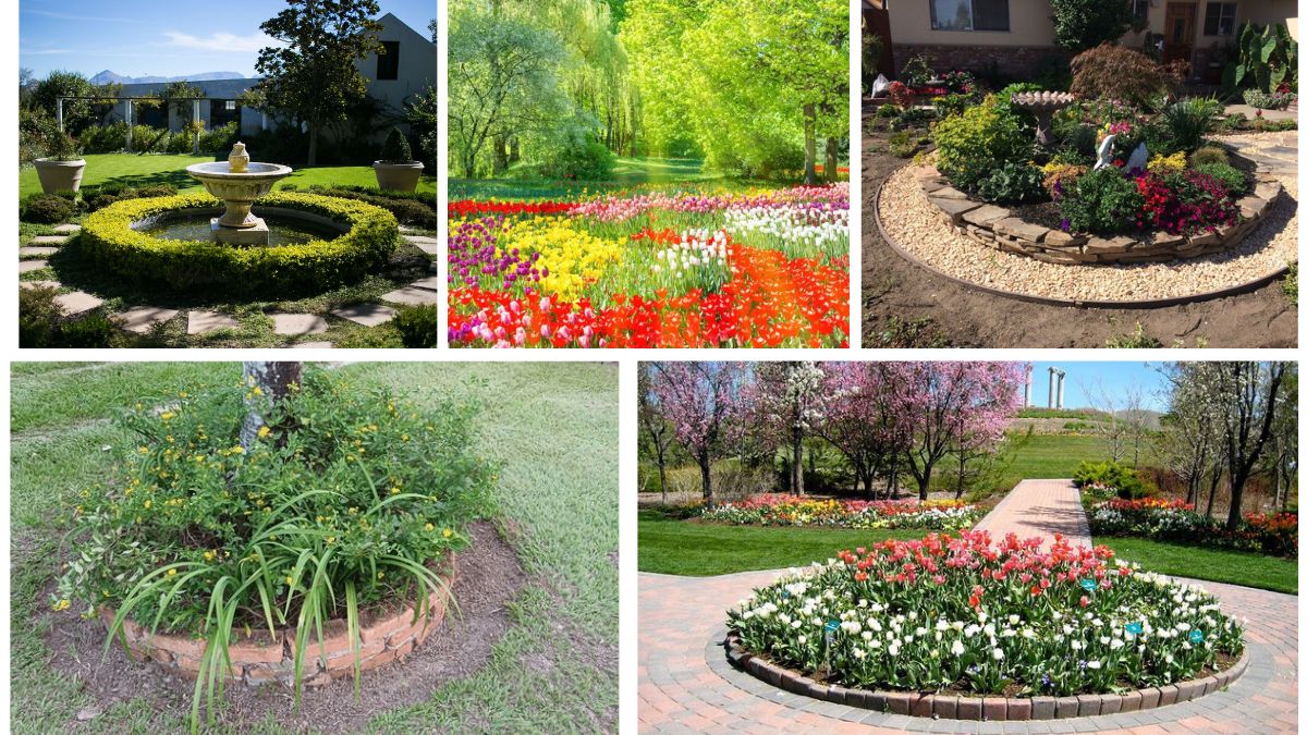 Circular Flower Beds That Create Stunning Focal Points
