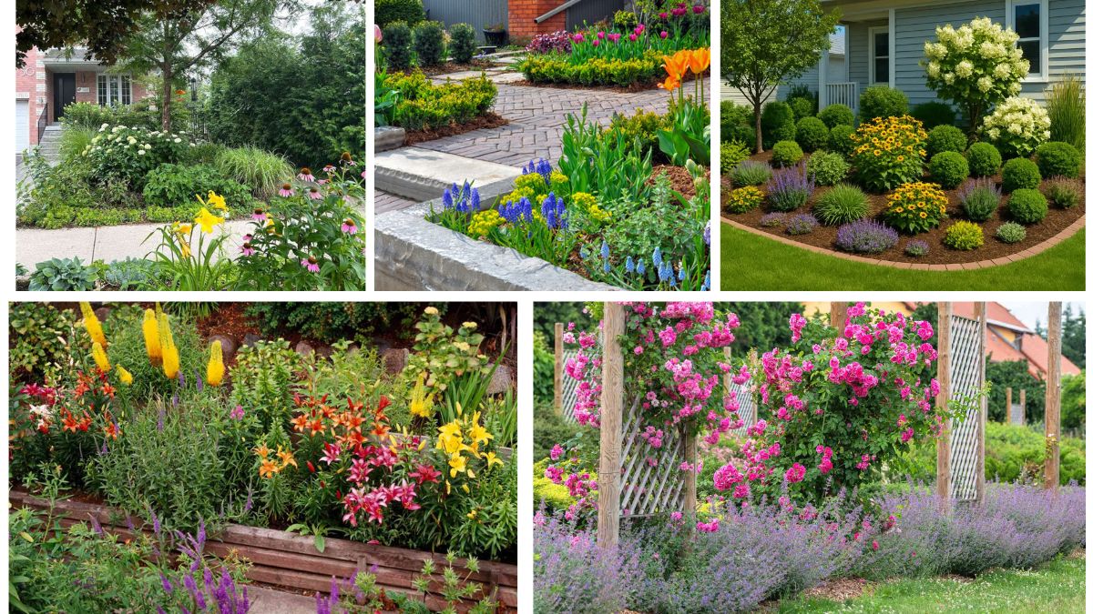Front Yard Flower Beds That Wow Guests Instantly