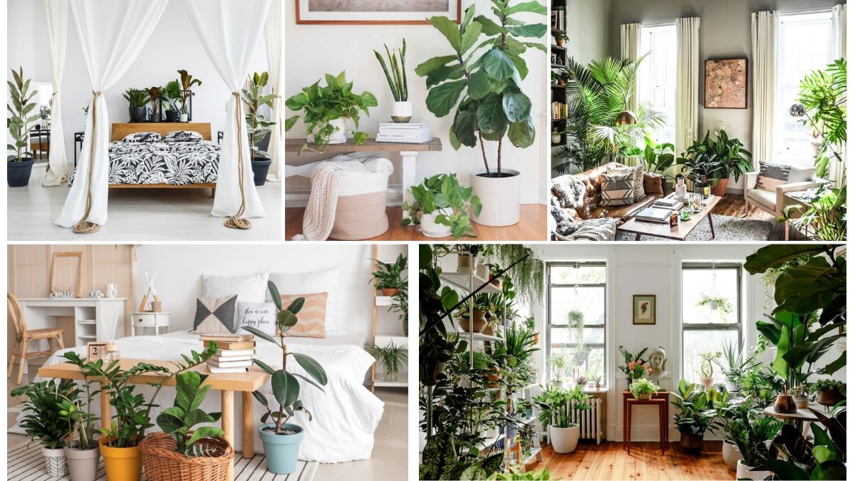 Feng Shui Tips for Bedroom Plant Placement