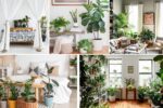 Feng Shui Tips for Bedroom Plant Placement