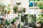 Indoor Plant Arrangement Tips for Positive Energy