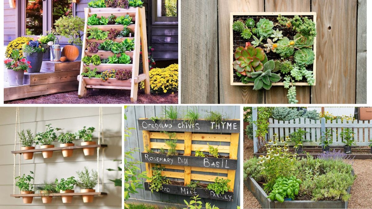 How to Make Indoor Wall Garden: Transform Your Space