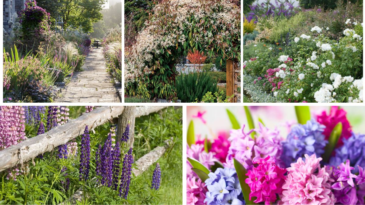 How to Create a Scented Garden Full of Fragrant Herbs