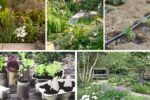 5 Garden Hacks That Save Time and Money