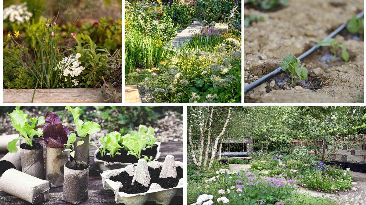 5 Garden Hacks That Save Time and Money