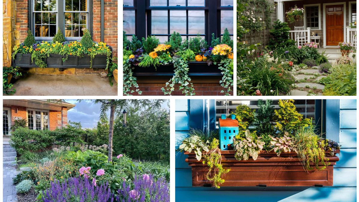 Under-Window Flower Beds That Add Charm to Homes