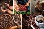 Which Country Produces the Most Coffee Worldwide?