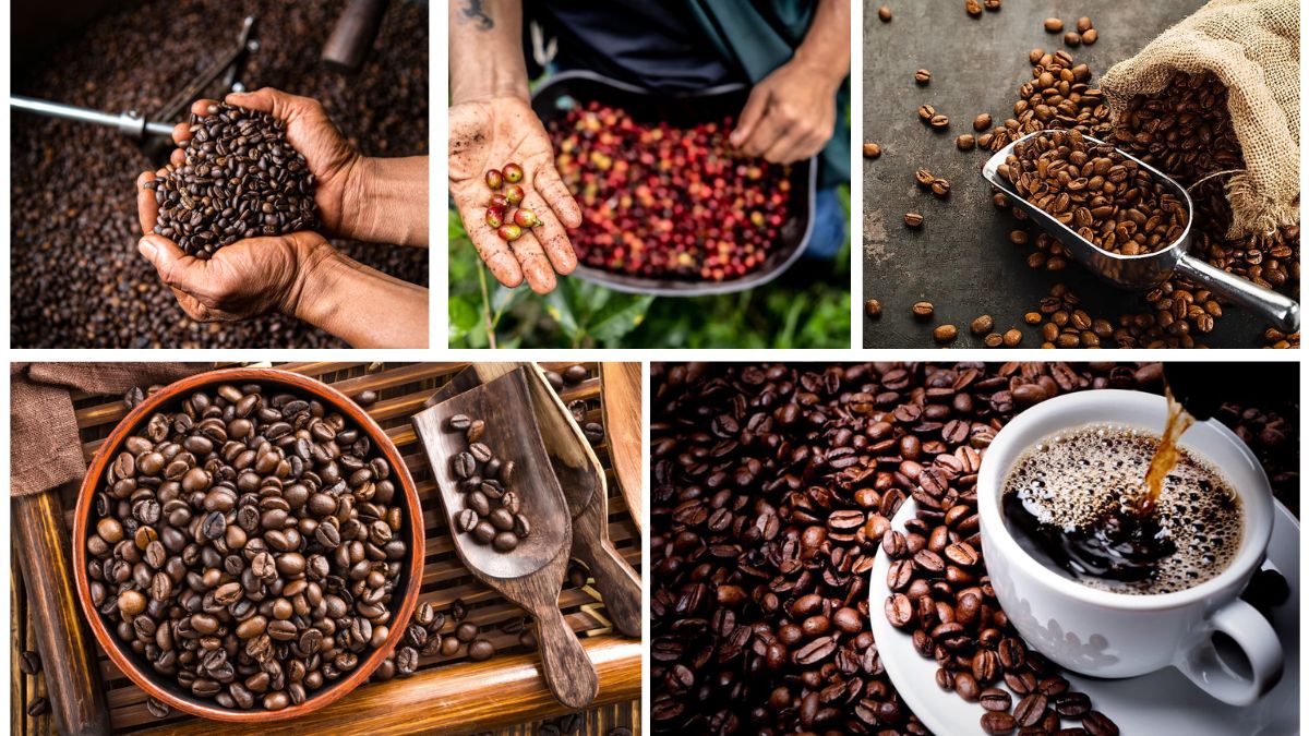 Which Country Produces the Most Coffee Worldwide?
